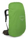 Osprey Kestrel LT 65 Backpacking Pack Moss Green