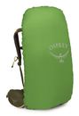 Osprey Kestrel 48 S / M Moss Green