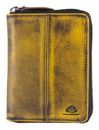 Dirty Yellow