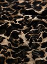 GUESS Printed Scarf 85X200 Leopard