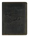 Olive Stag Olive Stag