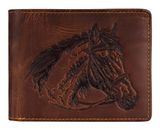 Brown Horse Brown Horse