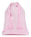 JanSport Drawsack Backpack Pink Ice