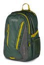 JanSport Agave Backpack Cargo Green