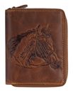 Brown Horse II.