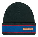 Ponderosa Pine
