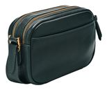FOSSIL Danni Crossbody Bag Green FOSSIL Danni Crossbody Bag Green