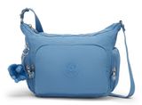 Vintage Blue