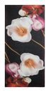 Desigual Rosea Rectangle Foulard Black