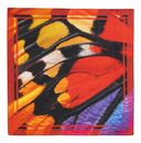 Desigual Fou Wingland Foulard Tutti Fruti Desigual Fou Wingland Foulard Tutti Fruti