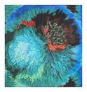 Desigual Pompon Rectangle Foulard Turquoise Desigual Pompon Rectangle Foulard Turquoise