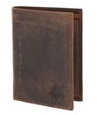Turtle 2.0 Embossed Vintage Dark Brown