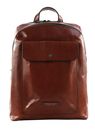 THE BRIDGE Mattia Backpack Marrone 14 / Rutenio Palladio THE BRIDGE Mattia Backpack Marrone 14 / Rutenio Palladio