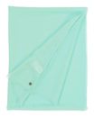 FRAAS Pashmina Stola Scarf Powder Mint