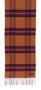 FRAAS Cashmink® Scarf with FRAAS Plaid Cafe Au Lait FRAAS Cashmink® Scarf with FRAAS Plaid Cafe Au Lait