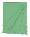 FRAAS Pashmina Stola Scarf Misty Jade FRAAS Pashmina Stola Scarf Misty Jade