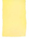 FRAAS Polyester Stola Lemon Drop FRAAS Polyester Stola Lemon Drop
