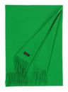FRAAS Cashmink® Scarf with Fringe Cyber Green FRAAS Cashmink® Scarf with Fringe Cyber Green