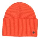 Exotic Orange Exotic Orange