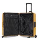 REDOLZ Essentials 15 Trolley-Set 3-teilig Dark Yellow