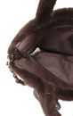 Tamaris Marijana Handbag M Brown