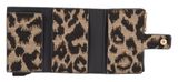 JOOP! Sicilia C-Four E-Cage Darkbrown JOOP! Sicilia C-Four E-Cage Darkbrown